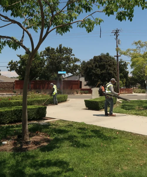 2FA1192D-ABB3-4A91-AA82-F82A96C18862