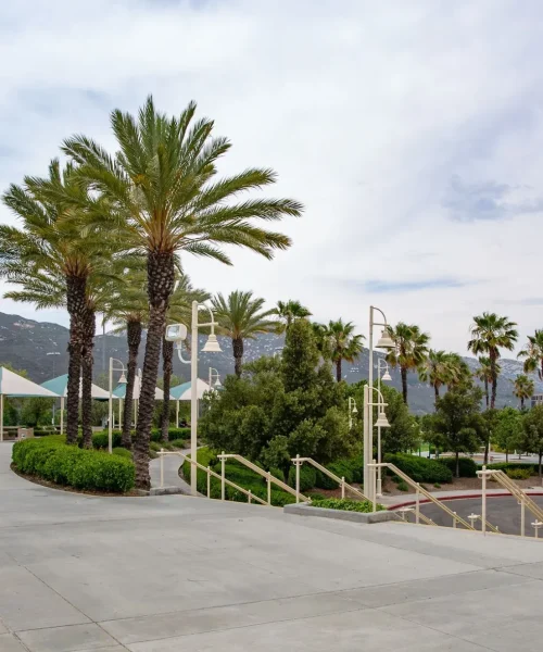 B2938513-E268-4ABA-8831-608719B19ADD